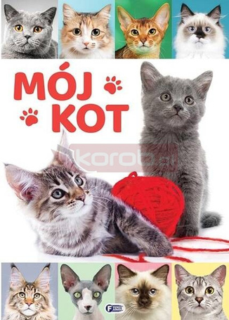 Mój kot