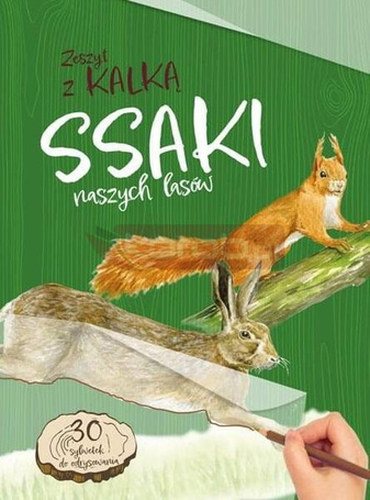 Ssaki naszych lasów. Zeszyt z kalką