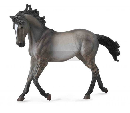 Koń Mustang Mare-Grulla