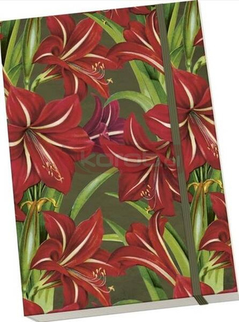 Notatnik ozdobny A5 STNOTE 131 Gwiazda Betlejems