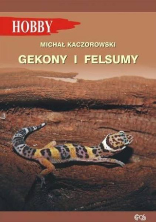 Gekony I Felsumy w.3