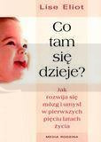 Co tam się dzieje?