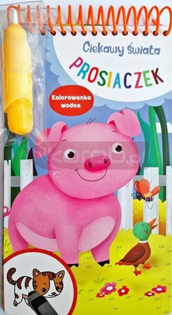 Ciekawy świata prosiaczek. Kolorowanka wodna