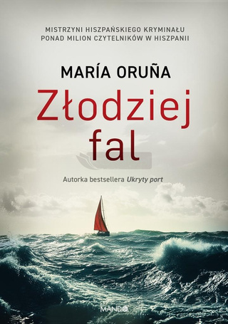 Złodziej fal