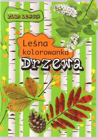 Leśna kolorowanka. Drzewa