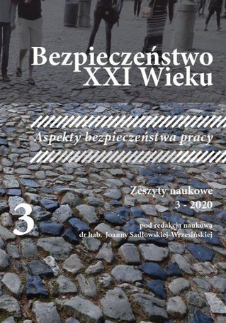 Bezpieczeństwo XXI wieku T.3
