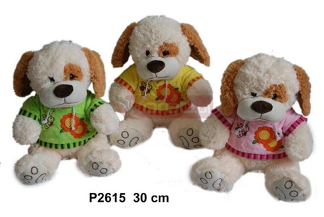 Pies 30cm MIX