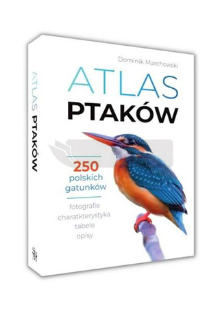 Atlas ptaków