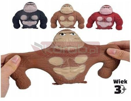 Goryl rozciągliwy gniot mix