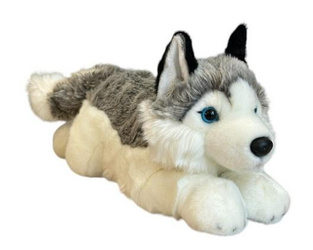 Pies Husky 42cm
