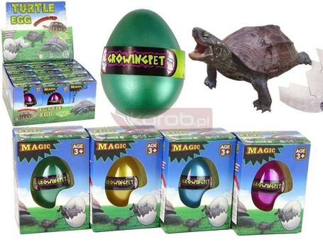 Wykluwające się magiczne jajko zółtwia 6cm