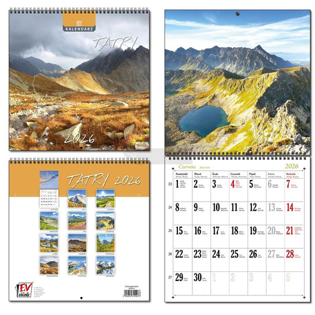 Kalendarz 2026 30x60 13 planszowy Tatry