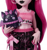 LALKA MONSTER HIGH SELF-SCARE SECRETS Draculaura + akcesoria JHK43