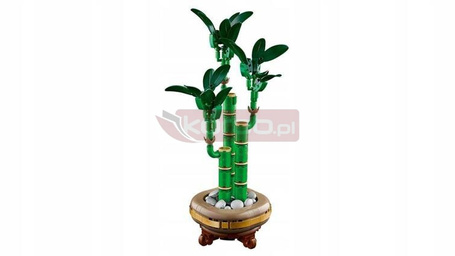 LEGO BOTANICALS 10344 LUCKY BAMBOO DRACENA zestaw klocków kwiaty, prezent