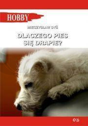 Dlaczego pies się drapie?