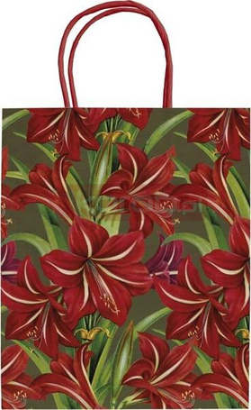 Torebka ozdobna A5 STBAG147 Gwiazda Betlejemska BN