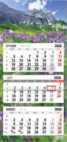 Kalendarz 2026 trójdzielny płaska główka Krokusy