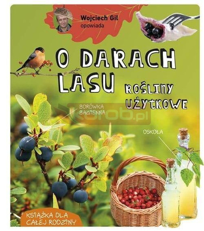 Wojciech Gil opowiada o darach lasu