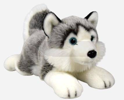Husky leżący 34cm