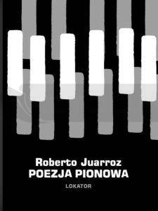 Poezja pionowa