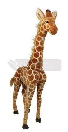 Żyrafa 100cm