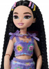 LALKA BARBIE DREAM BESTIES Lalka modowa Renee na wrotkach JFX99