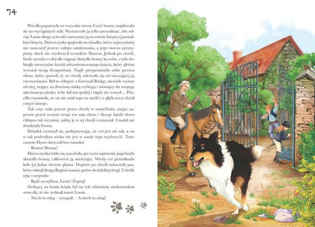Lassie, wróć! Kolor BR Greg
