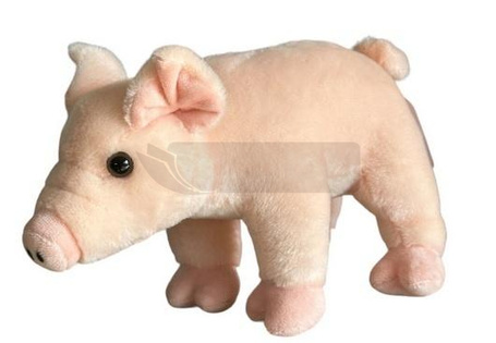 Świnka różowa 22cm