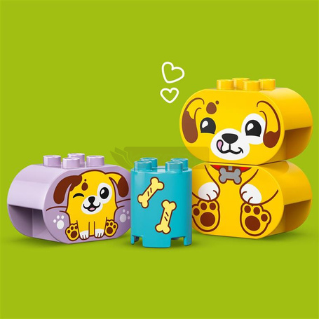 LEGO DUPLO 10441 SORTER KSZTAŁTÓW DOM PIESKÓW zestaw klocków +18 m-cy