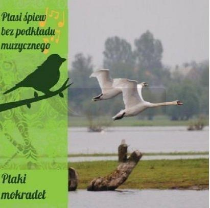 Ptasi śpiew bez podkładu muz. Ptaki mokradeł CD