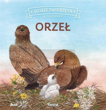 Dzikie zwierzęta w naturze. Orzeł