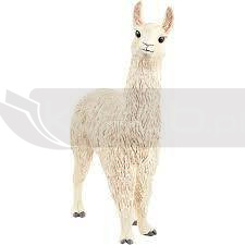 LAMA