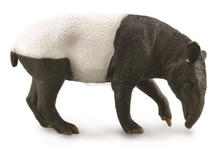 Malayan Tapir