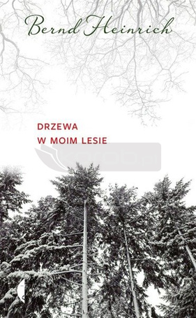 Drzewa w moim lesie