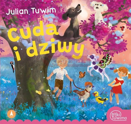 Cuda i dziwy