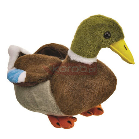 Maskotka Kaczka krzyżówka 18cm