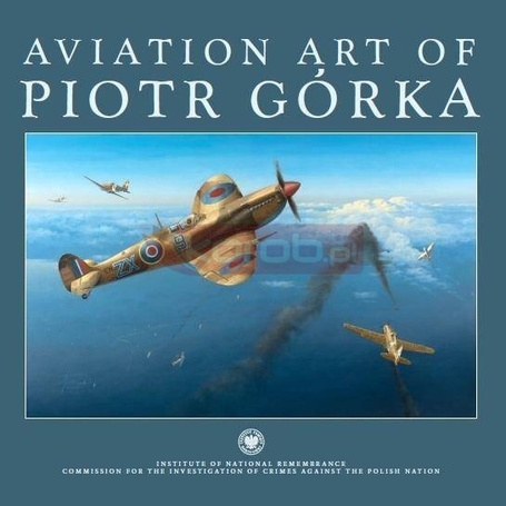 Aviation art of Piotr Górka