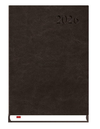 Terminarz 2026 A5 Asystent Alaska czarny
