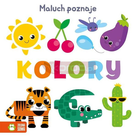 Maluch poznaje. Kolory