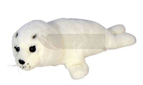 Foka 38cm