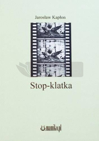Stop-klatka