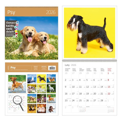 Kalendarz 2026 ścienny 30x30 Psy HELMA