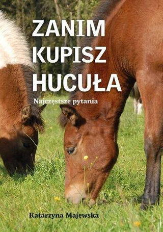 Zanim kupisz hucuła. Najczęstsze pytania