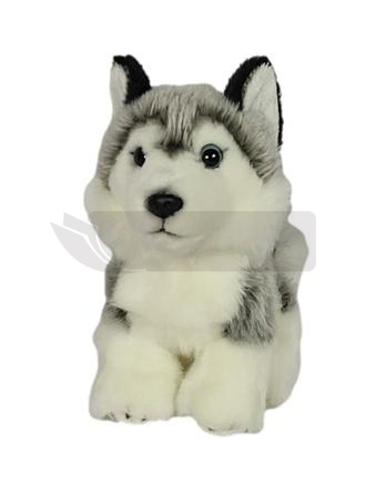 Pies Husky 19cm