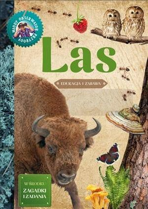 Młody Obserwator Przyrody - Las w.2022
