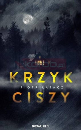 Krzyk ciszy