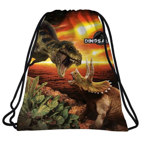 Worek na obuwie Dinozaur 18 DERFORM