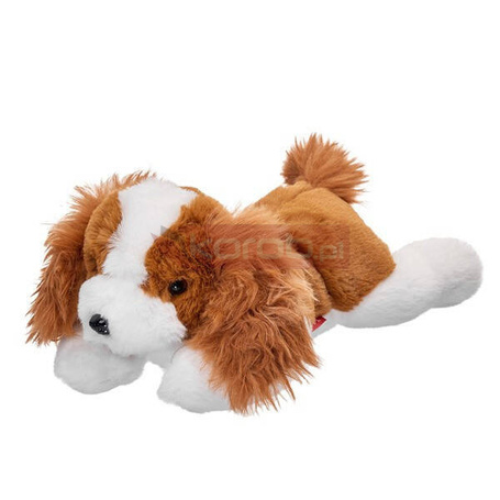 Maskotka Pies Cavalier leżący 35 cm