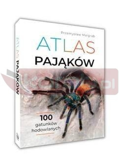 Atlas pająków