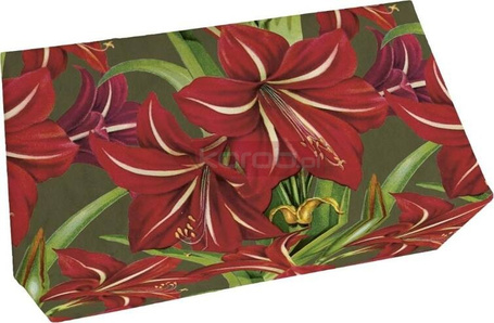 Mydło 200g zapach jabłkowy Gwiazda Betlejemska BN